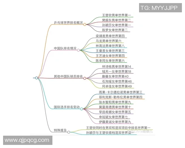 北京乒乓球队引领最新乒乓球技术TOP10榜单解析与发展趋势 北京乒乓球队引领最新乒乓球技术TOP10榜单解析与发展趋势