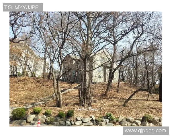 足球明星罗彬的传奇人生与辉煌成就全景介绍 足球明星罗彬的传奇人生与辉煌成就全景介绍